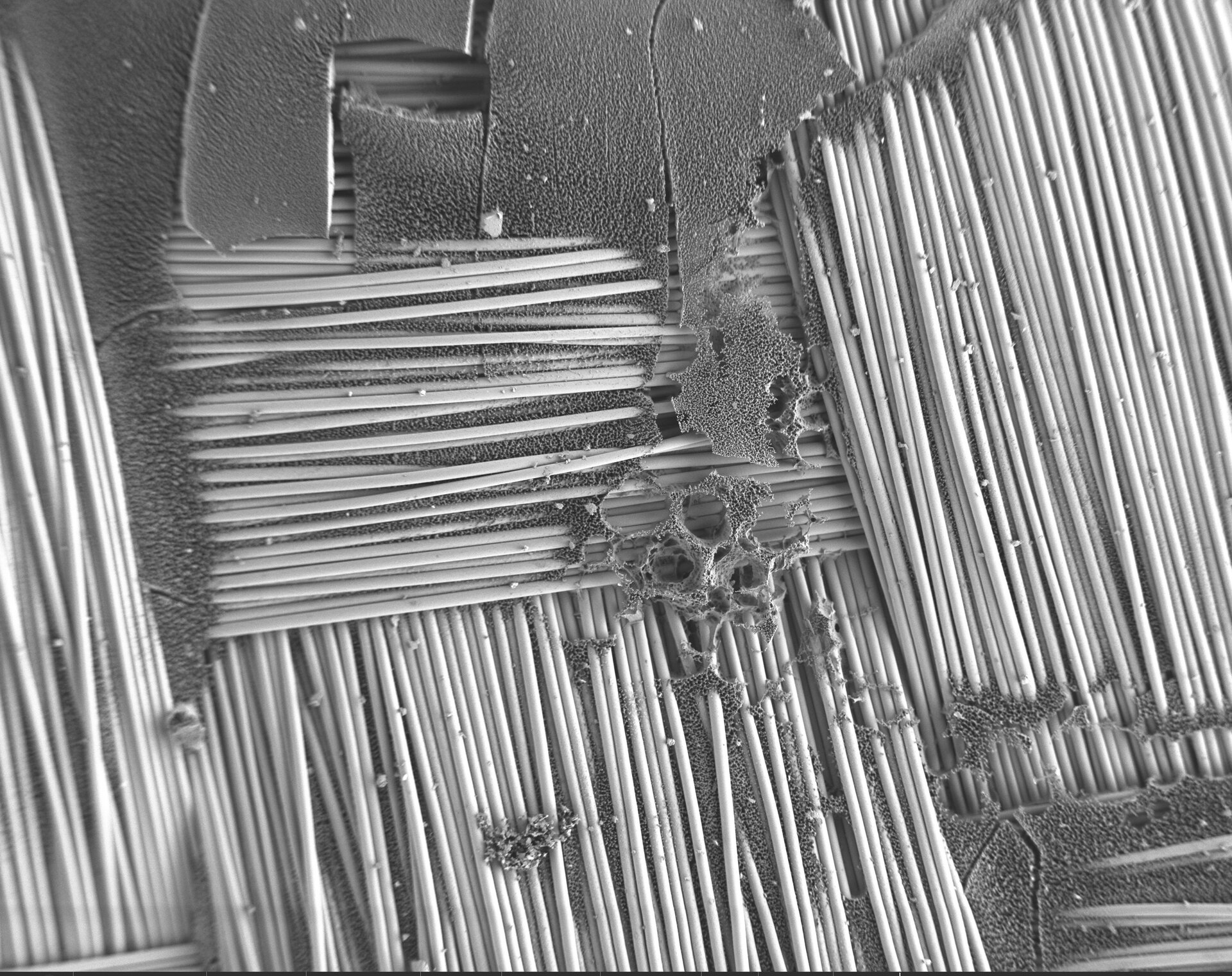 Молодые учёные помогают ESA тестировать материалы для космических миссий