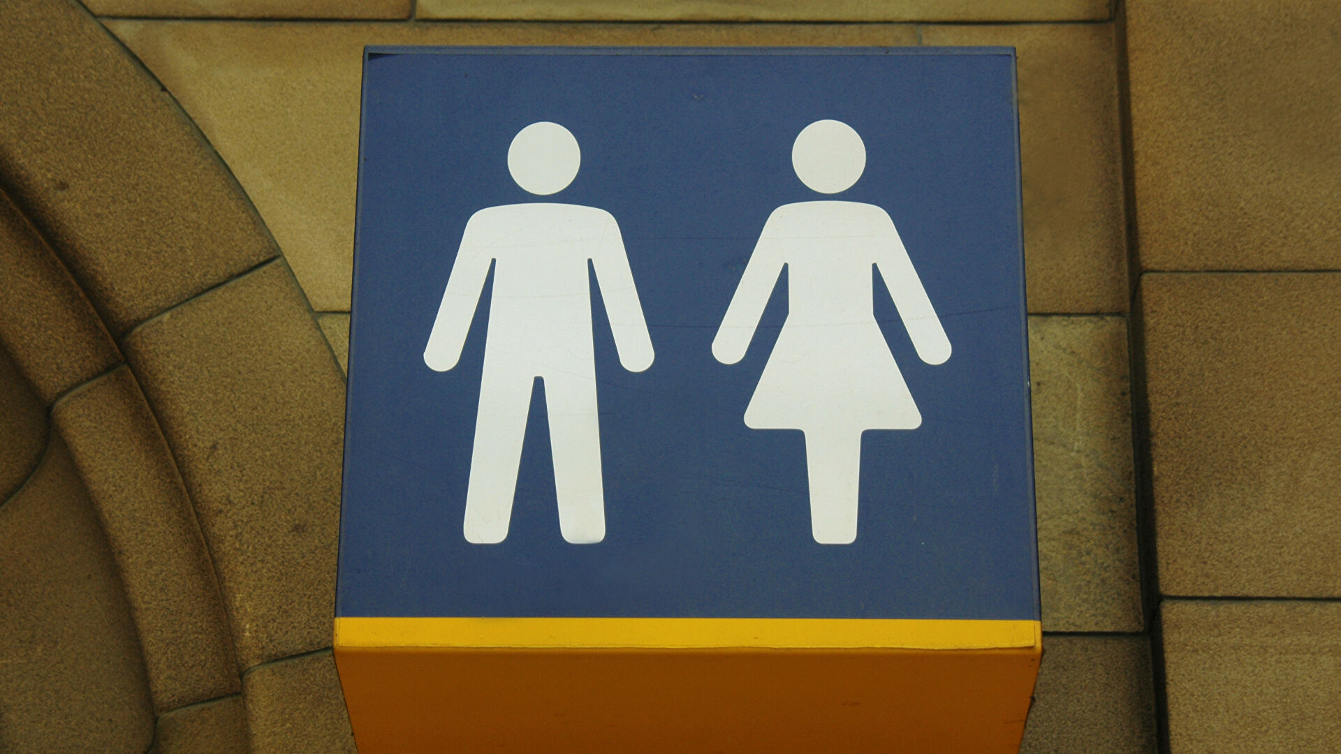 В Кремле оценили конкурс на худший школьный туалет 