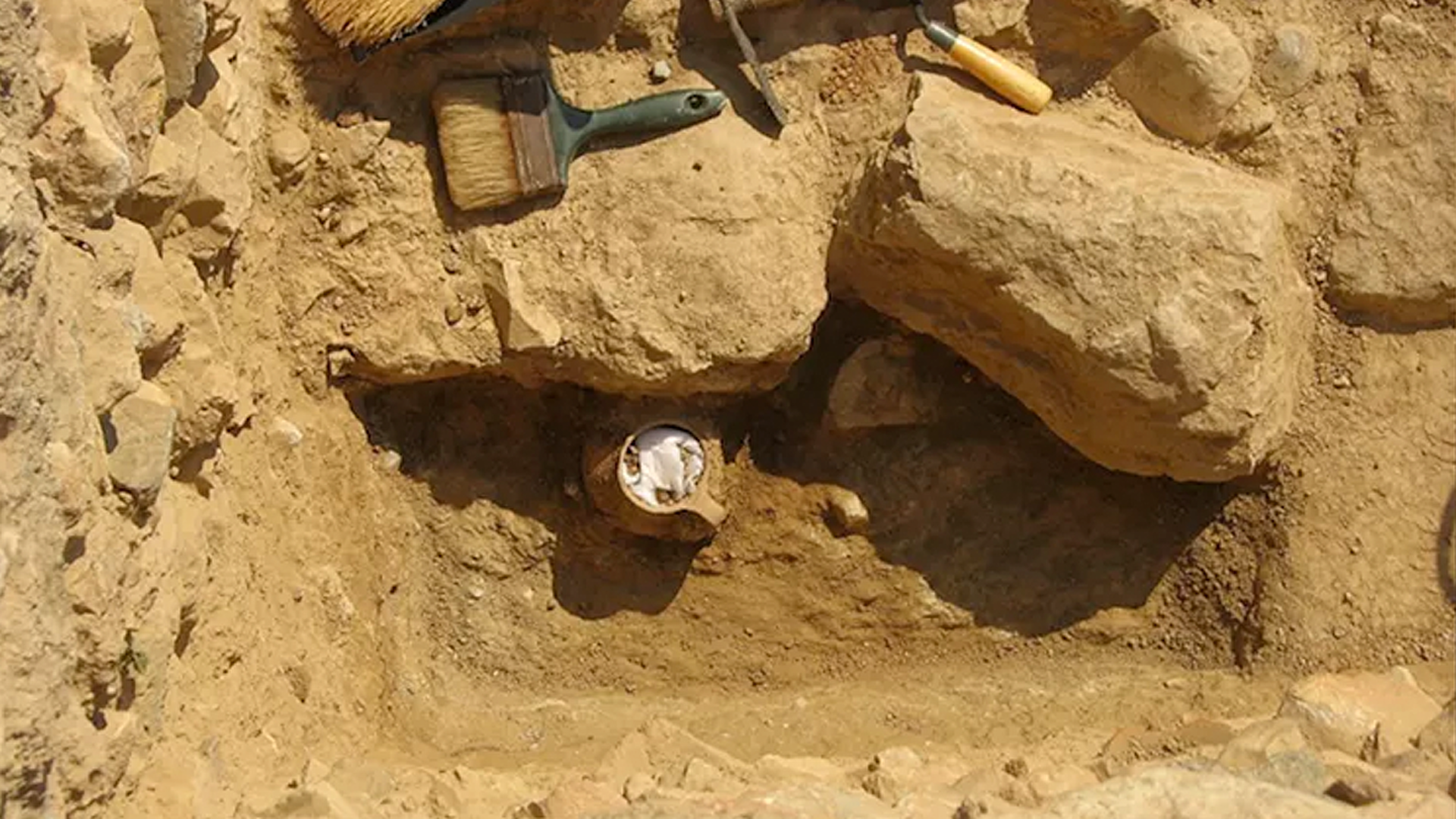 Ученые раскрыли тайну древнего горшка, наполненного куриными костями 