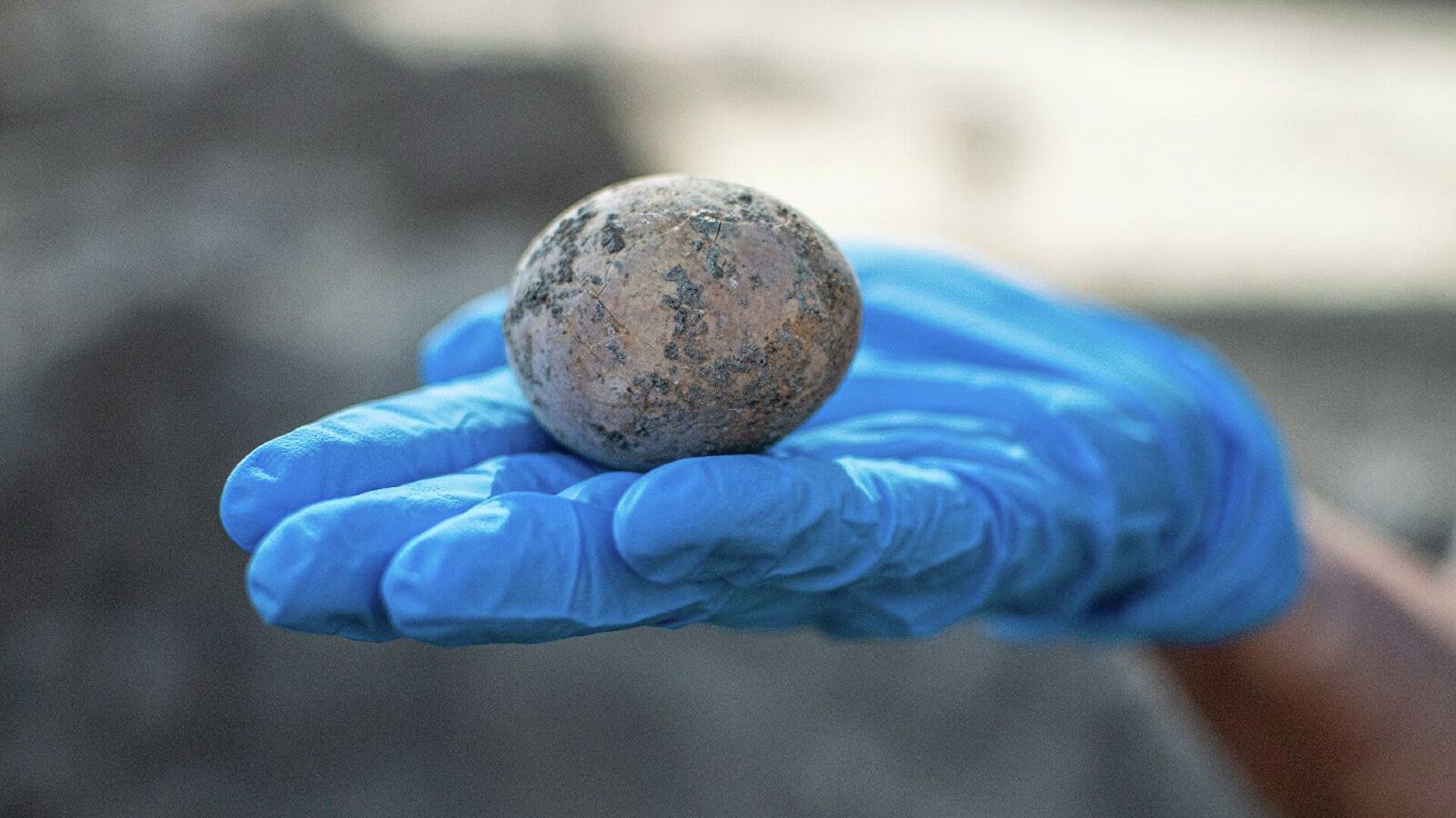 В Израиле нашли тысячелетнее куриное яйцо В Израиле нашли тысячелетнее куриное яйцо