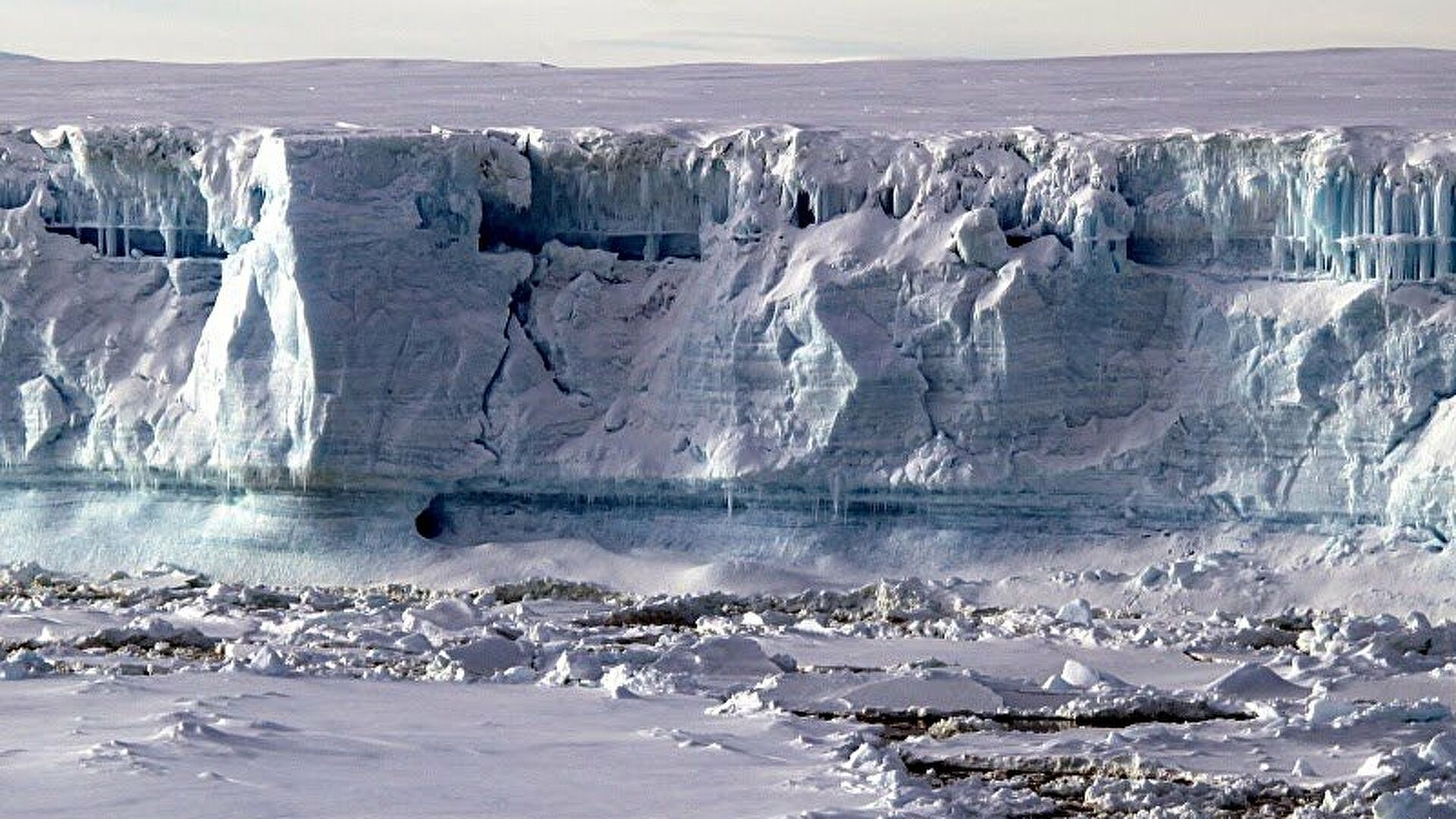 Ледник эймери