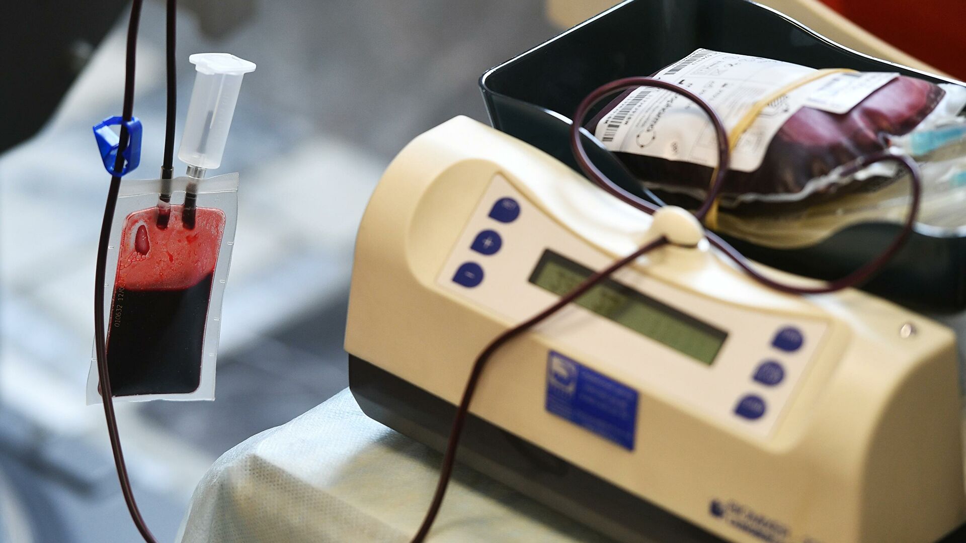 В ФРГ гомосексуалистам разрешили сдавать донорскую кровь 