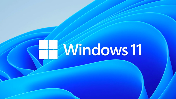 Microsoft     Windows 11