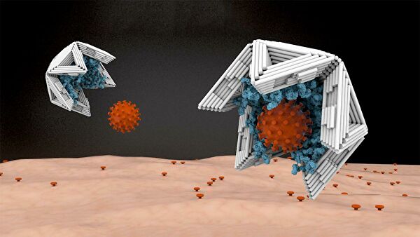 Ученые разработали нанокапсулы для улавливания вирусов 