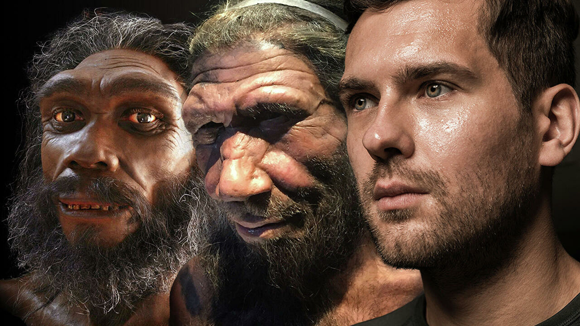 Получены новые данные о происхождении неандертальцев и денисовцев 