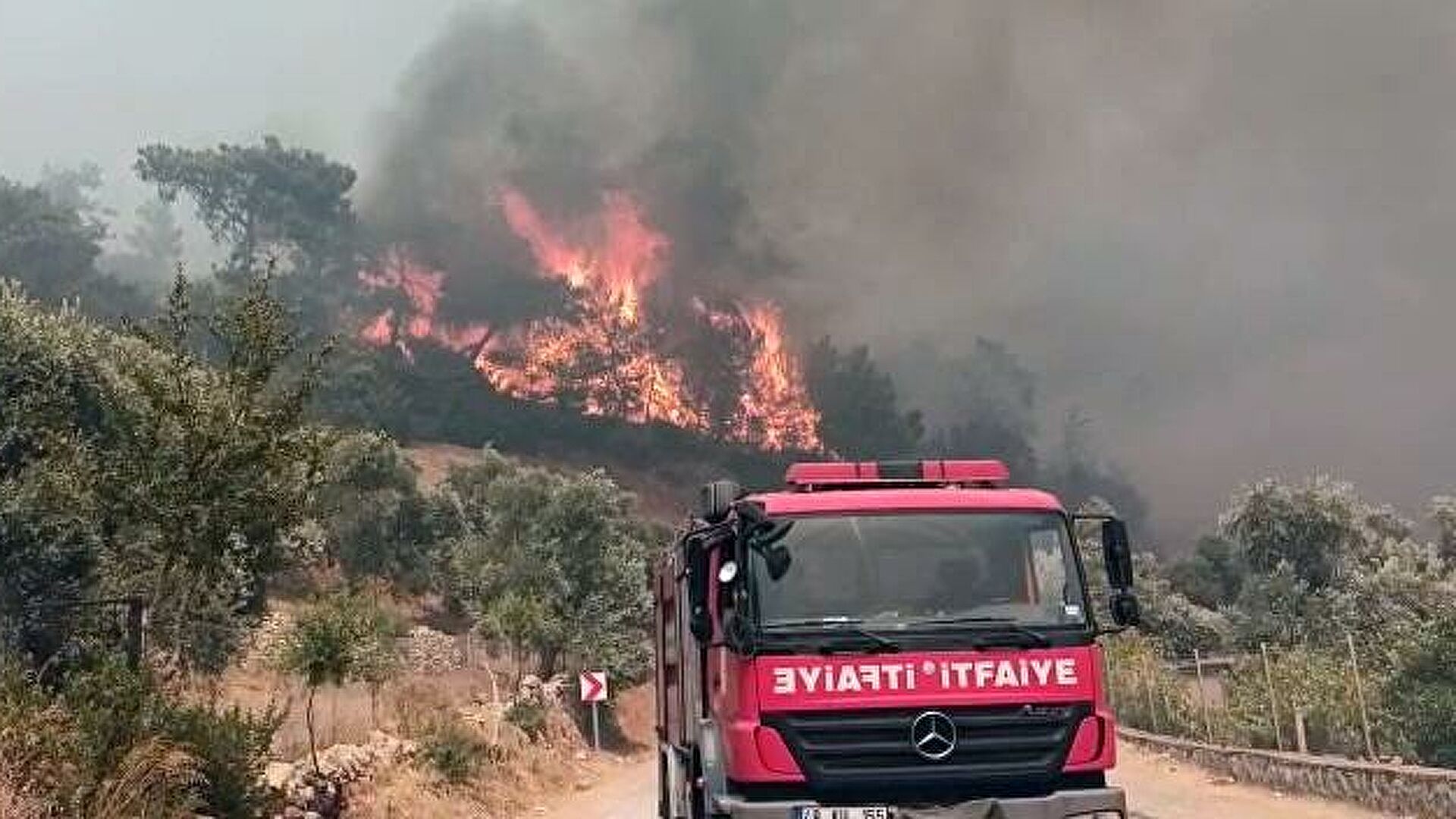 В Турции потушили лесной пожар в районе аэропорта 