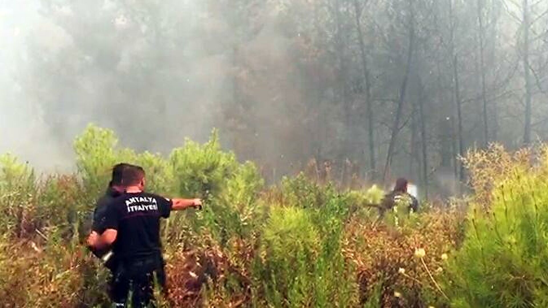 В Турции ликвидировали все лесные пожары 