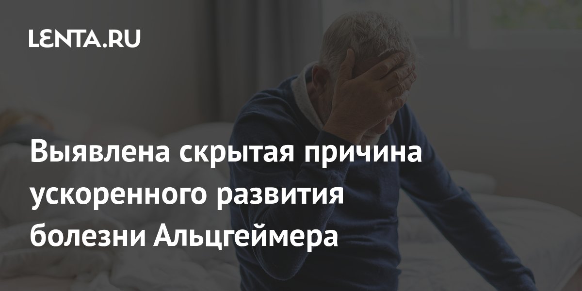Ожирение ускоряет болезнь Альцгеймера через жировые молекулы Ожирение ускоряет болезнь Альцгеймера через жировые молекулы