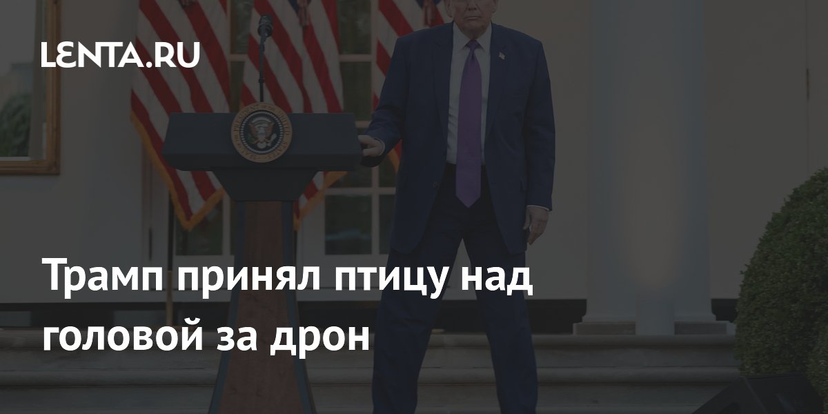 Трамп принял пролетающую птицу за дрон в Розовом саду Трамп принял пролетающую птицу за дрон в Розовом саду
