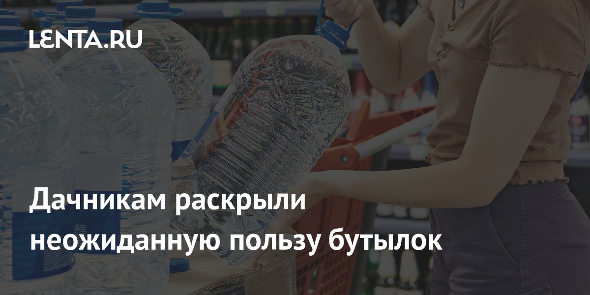 Дачникам раскрыли пользу пластиковых бутылок для защиты урожая от заморозков