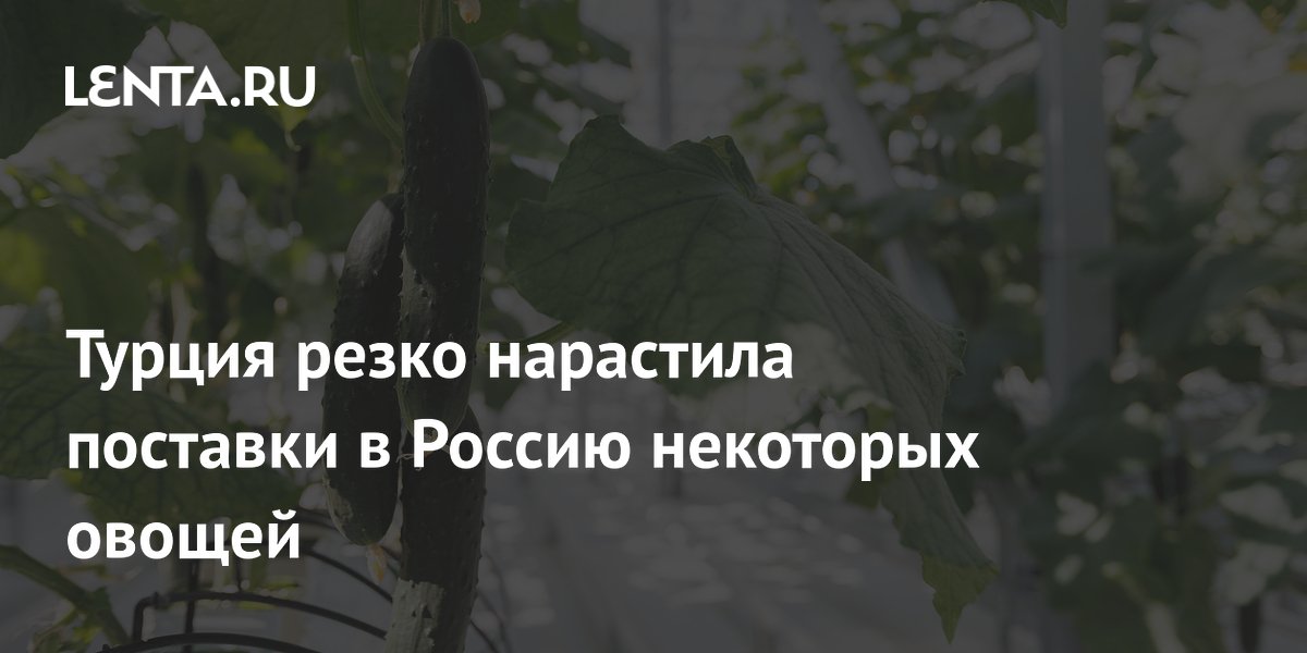 Турция нарастила поставки консервированных огурцов в Россию в 8 раз