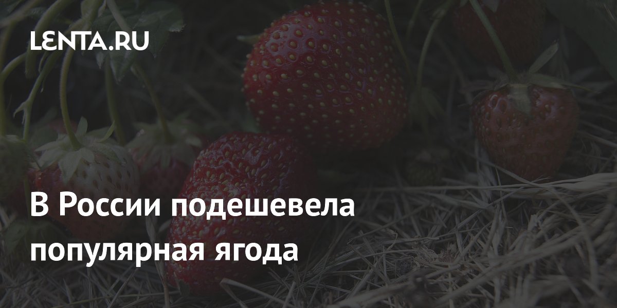 Клубника в России подешевела на 28% до 800 рублей за килограмм