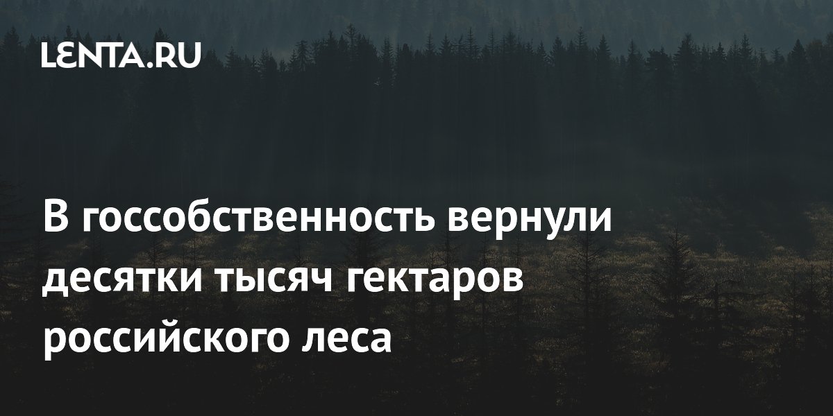 Рослесхоз через суд вернул 21,1 тыс. га леса в госсобственность
