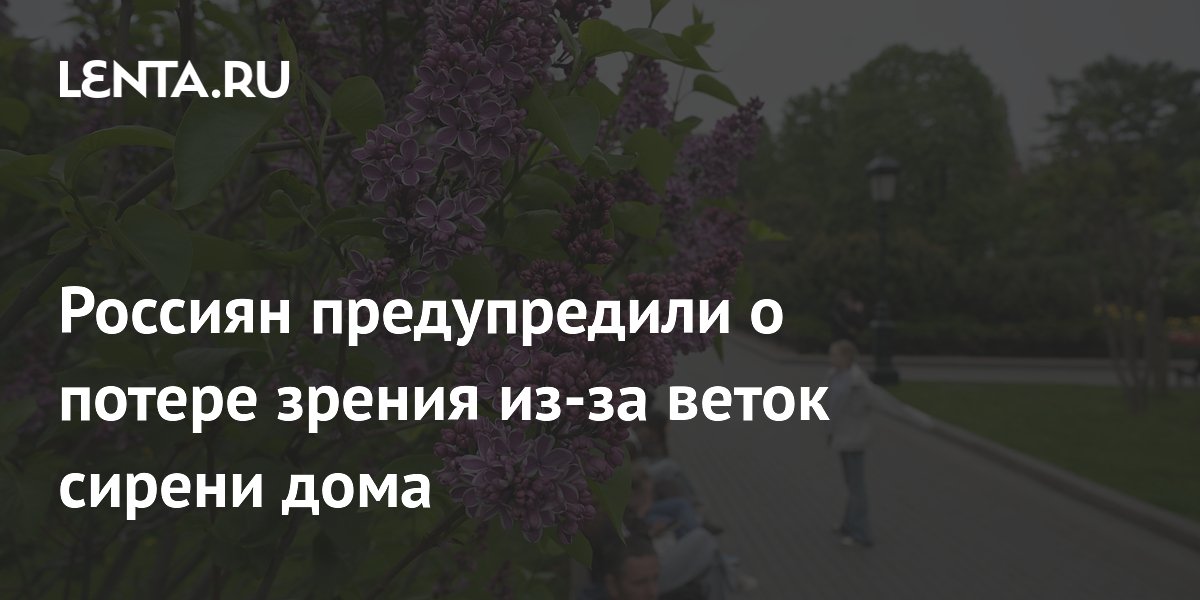 Ботаник: сирень в доме может привести к потере зрения