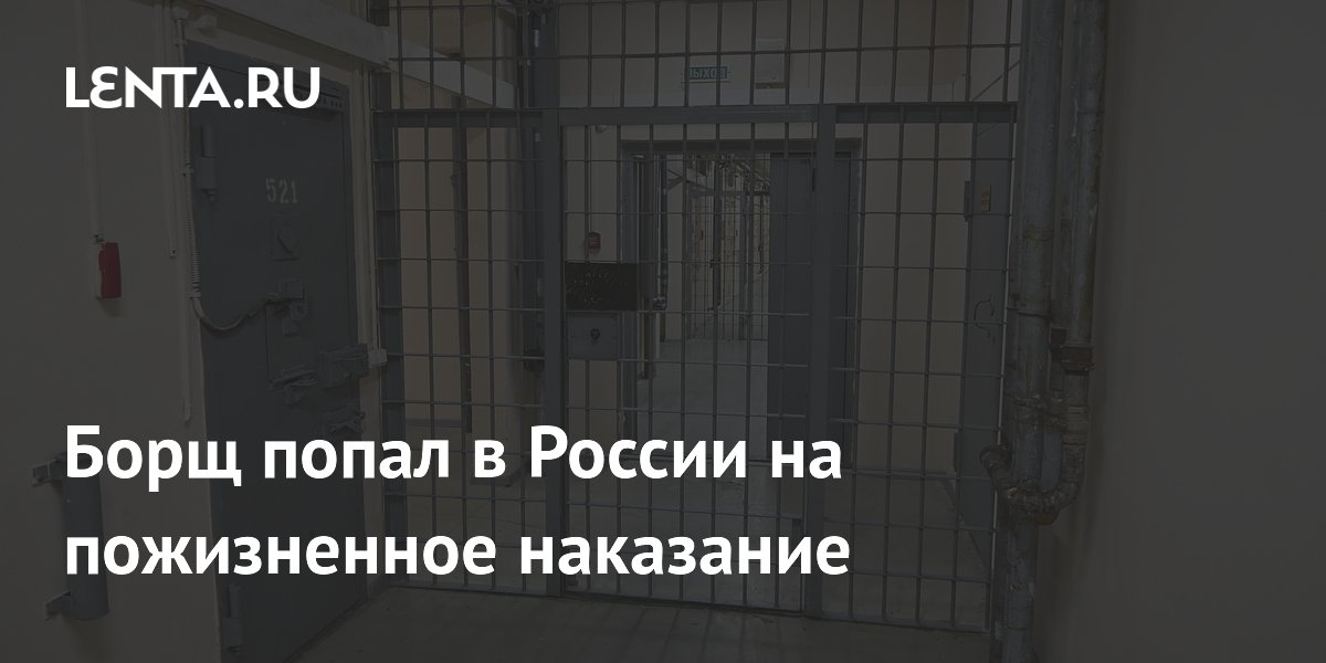Полковник ВСУ Борщ заочно приговорен к пожизненному сроку в России