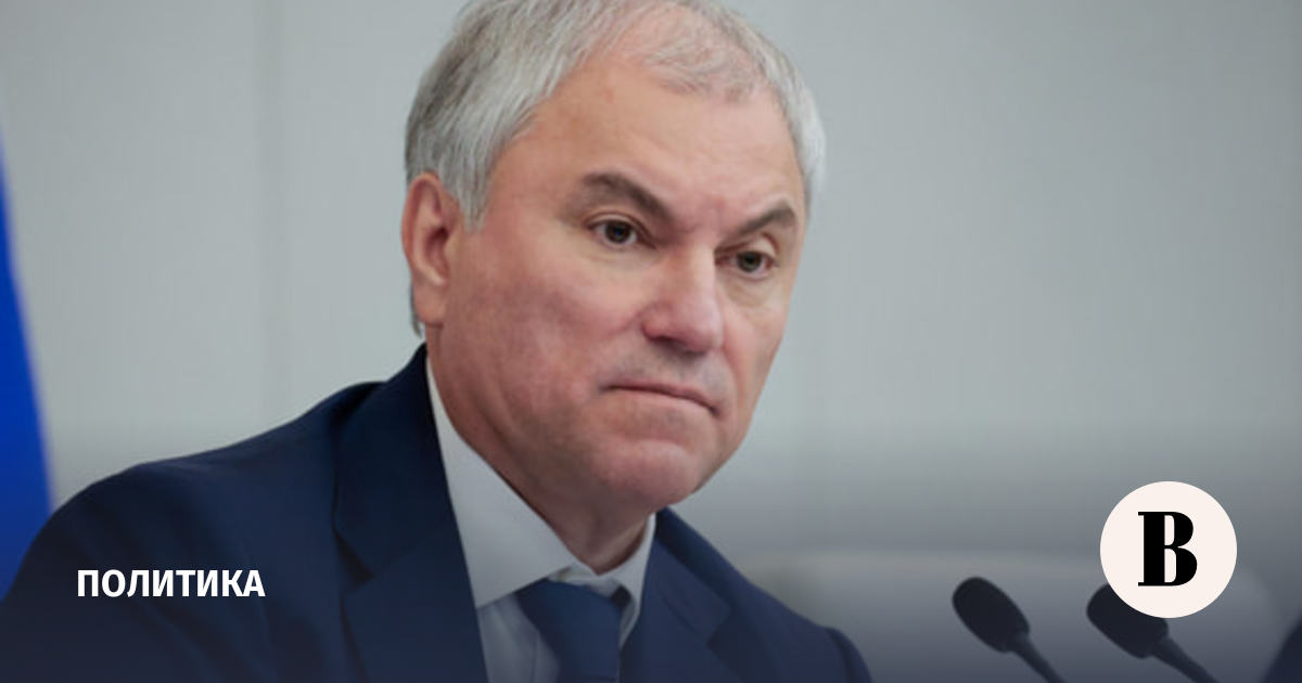 Володин: оскорблявших защитников РФ релокантов ждет судебное разбирательство