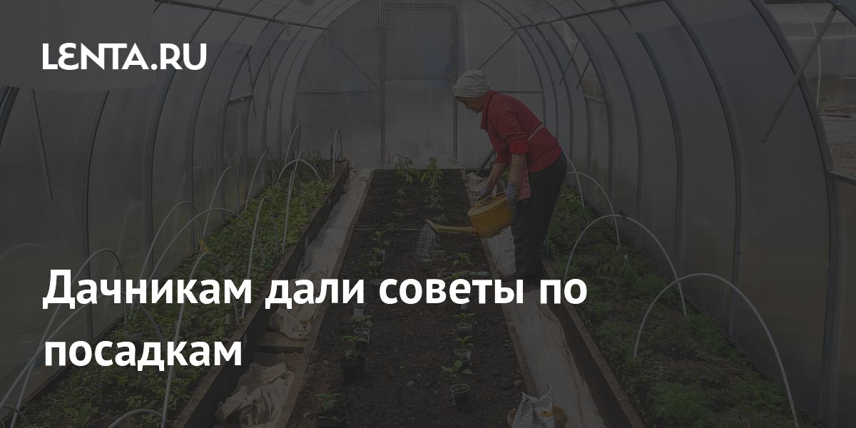 Агроном Воробьев: в конце мая можно высаживать любые культуры