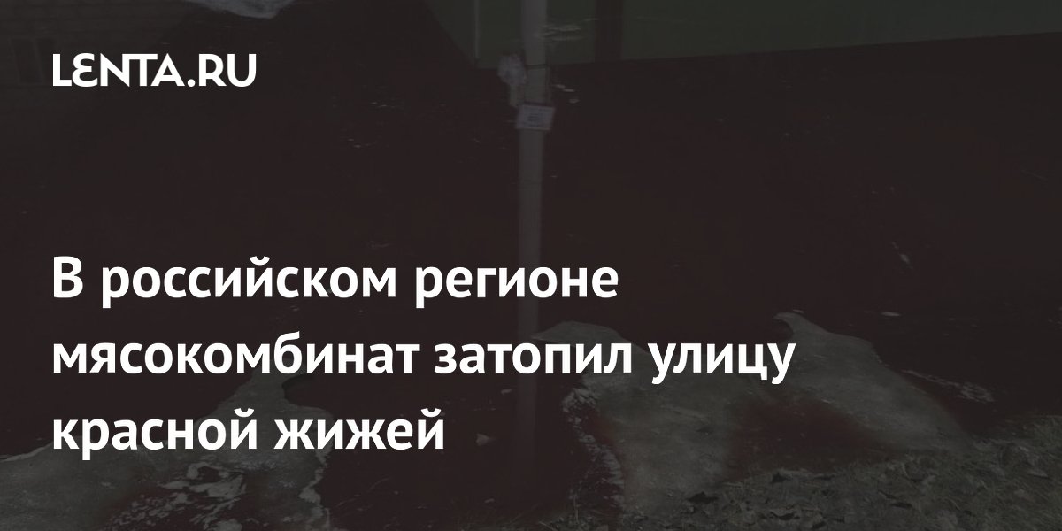 ������������ � ������������ ������� ������� ����� ������� �����