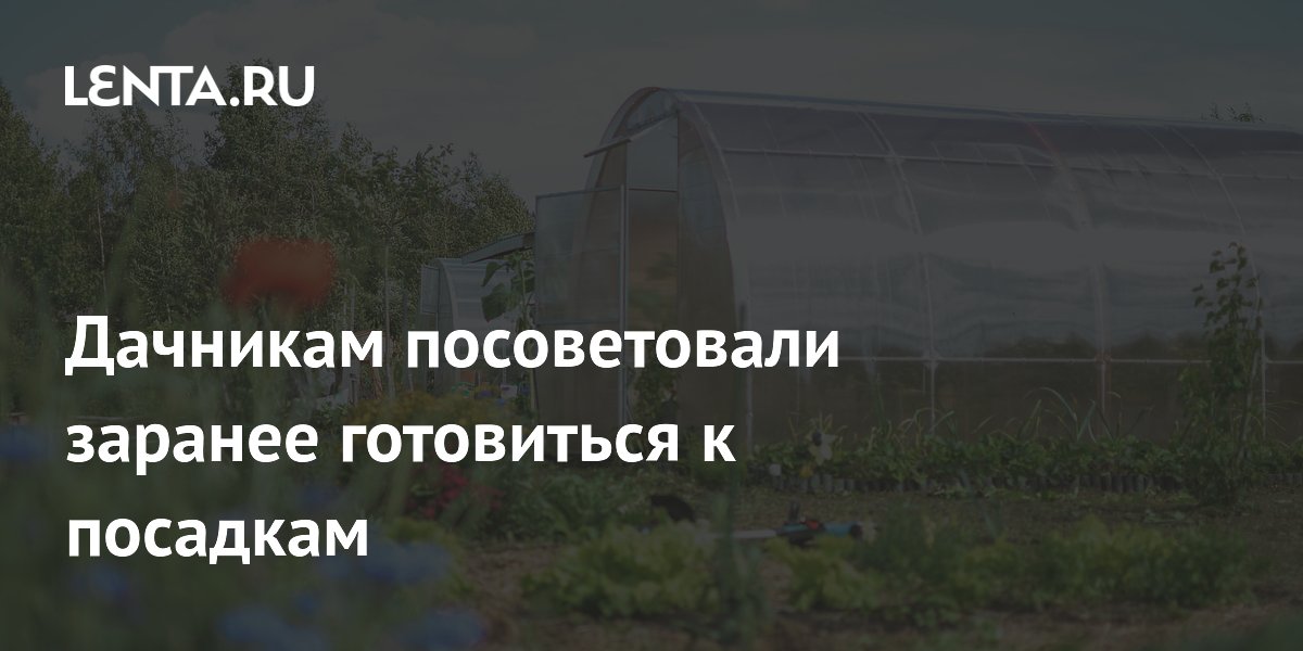 Дачникам посоветовали начинать подготовку к посадкам в марте