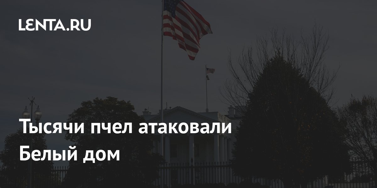 Тысячи пчел атаковали Белый дом