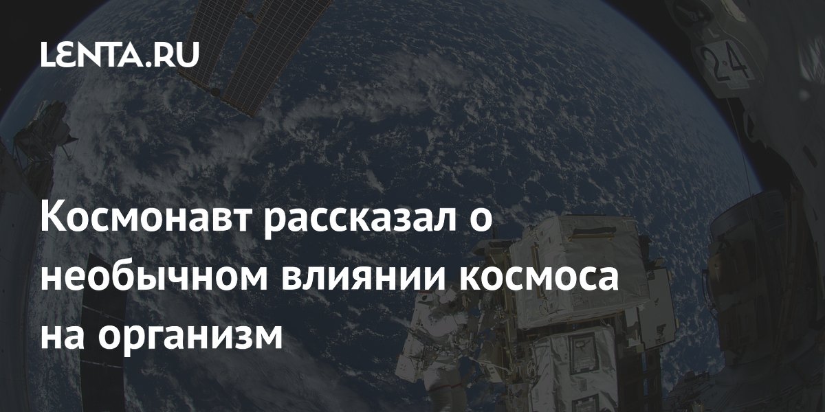 Австрийский космонавт Фибек: в космосе меняется восприятие вкуса Австрийский космонавт Фибек: в космосе меняется восприятие вкуса