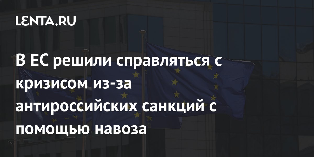 ЕС решил заменить газ коровьим навозом для производства удобрений из-за санкций