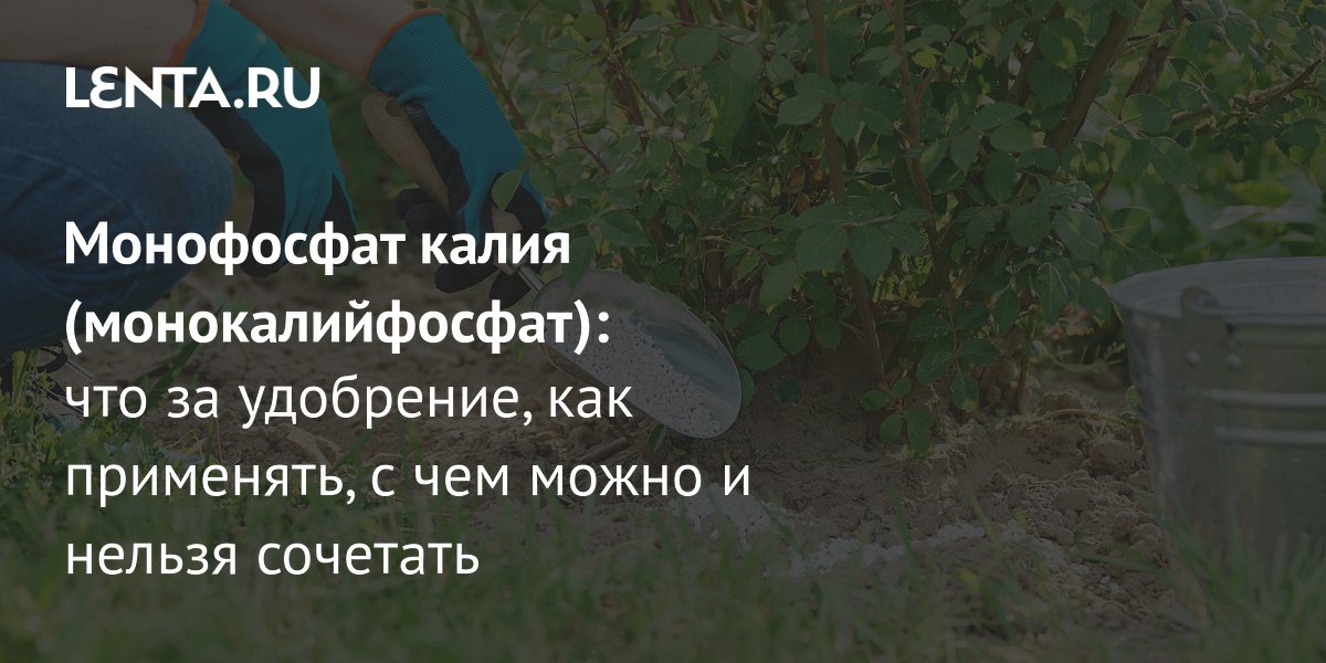 Монофосфат калия: удобрение для роста растений — как применять и с чем сочетать Монофосфат калия: удобрение для роста растений — как применять и с чем сочетать