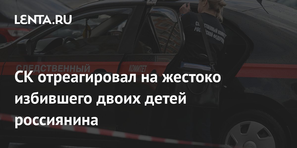 СК начал проверку после жестокого избиения двух подростков в Новосибирске СК начал проверку после жестокого избиения двух подростков в Новосибирске