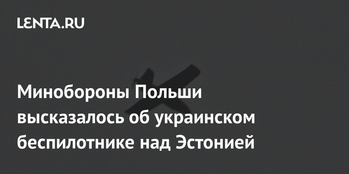 Польша призвала Украину точнее выбирать цели дронов после инцидента в Эстонии