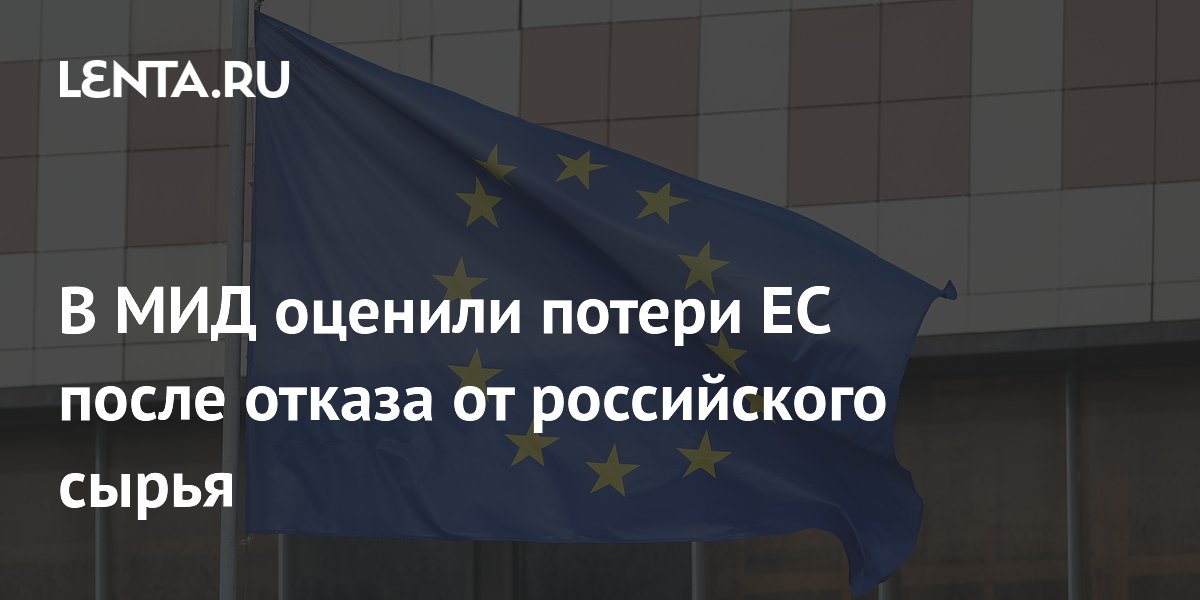 В МИД России оценили потери Евросоюза от отказа от российского сырья в триллион долларов