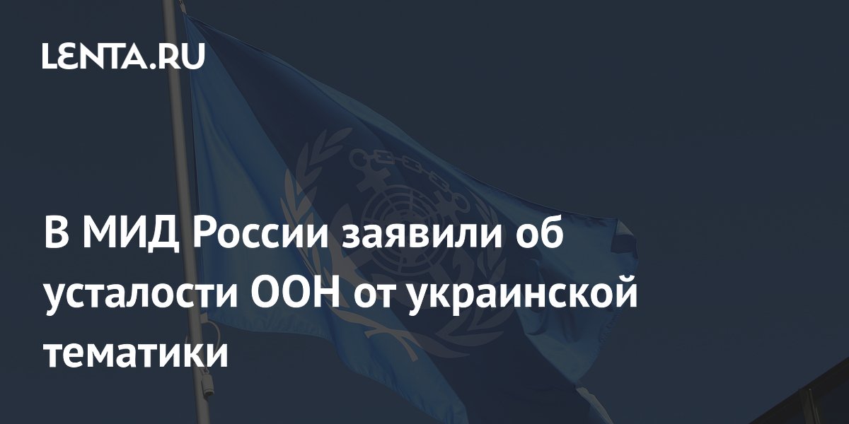 Замглавы МИД РФ: ООН устала от навязывания украинской тематики