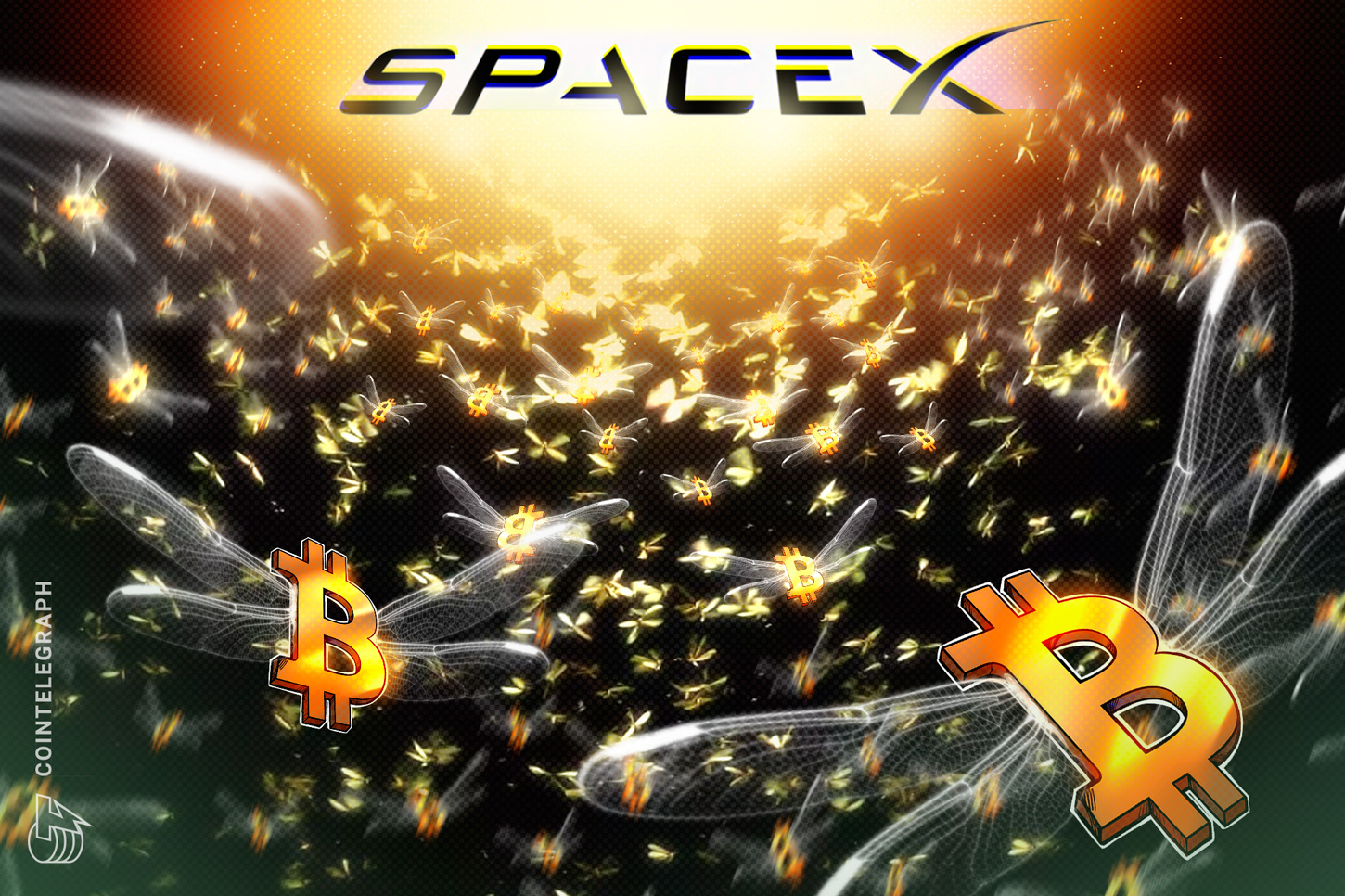 SpaceX �������� ������� ����� ��������� ����� IPO: 18 712 BTC �� $1,45 ����