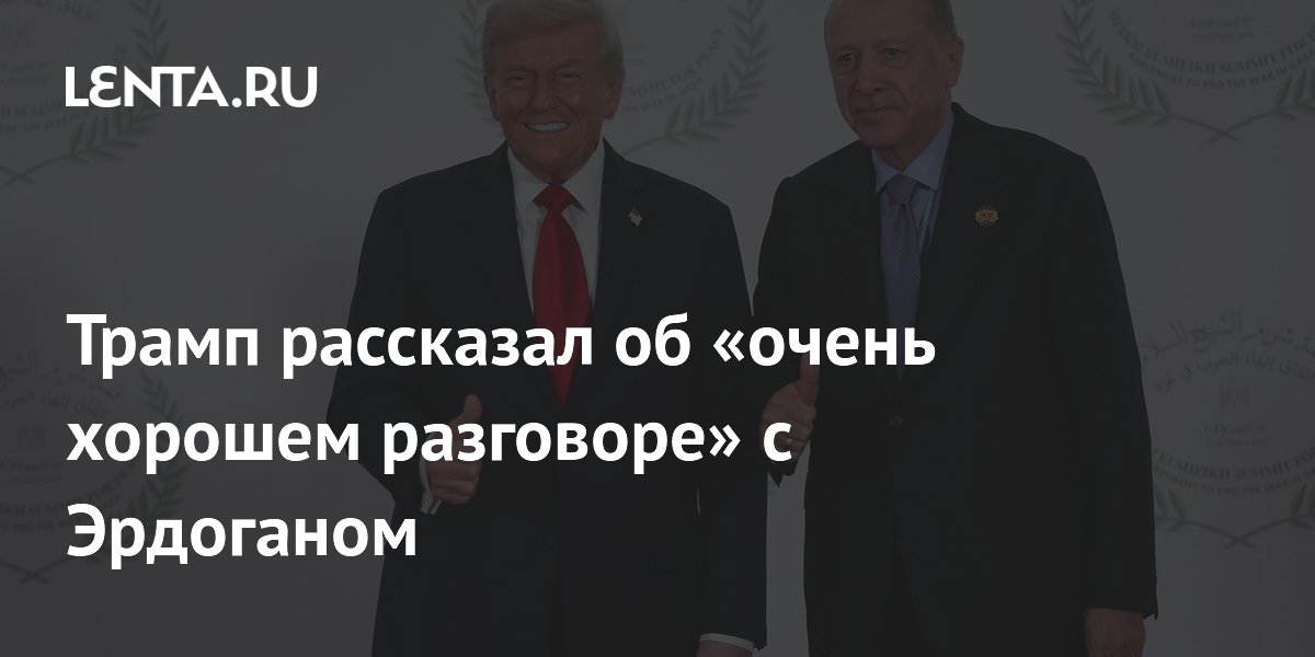 Трамп назвал разговор с Эрдоганом очень хорошим и обсудил саммит НАТО