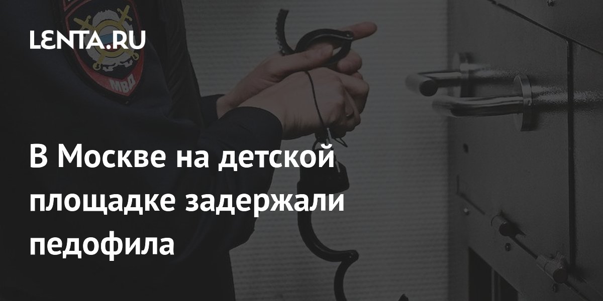 В Москве на детской площадке задержан подозреваемый в развратных действиях с детьми В Москве на детской площадке задержан подозреваемый в развратных действиях с детьми