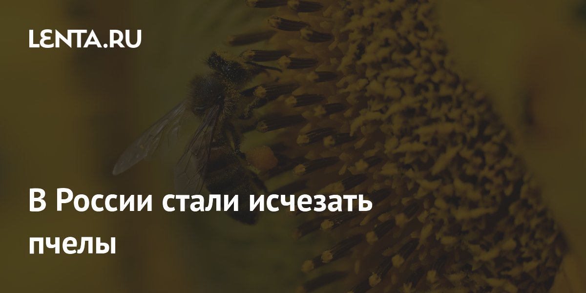 ����� �������� ����� � ������ ����������� ����� �� ������� �� 10 ���