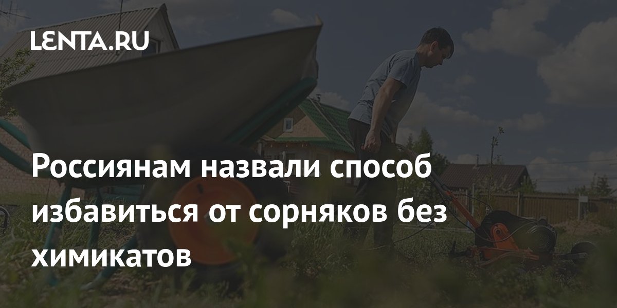 Агроном Ганичкина: избавиться от сорняков без химии помогут прополка и покос