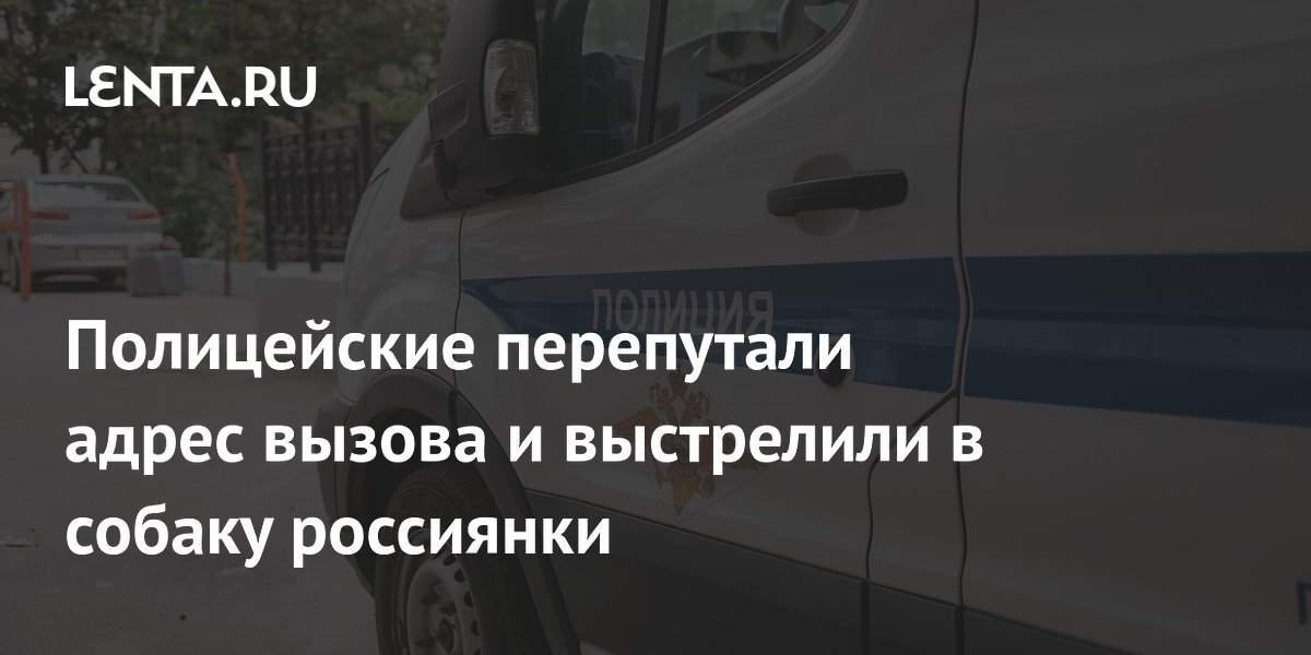 В Хабаровском крае полицейские по ошибке застрелили собаку, приехав не на тот адрес