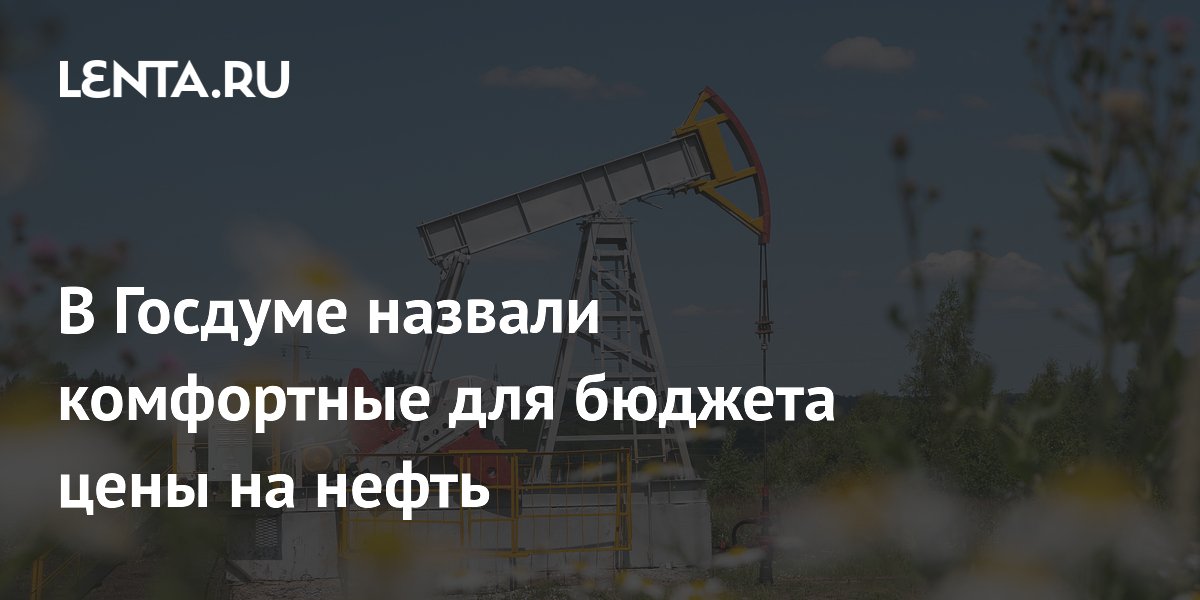 В Госдуме назвали комфортным диапазон цен на нефть $95–110 за баррель