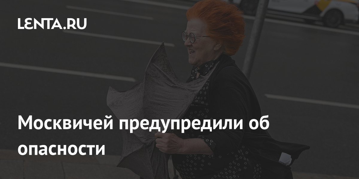 Москвичей предупредили о ветре до 17 м/с: объявлен желтый уровень опасности