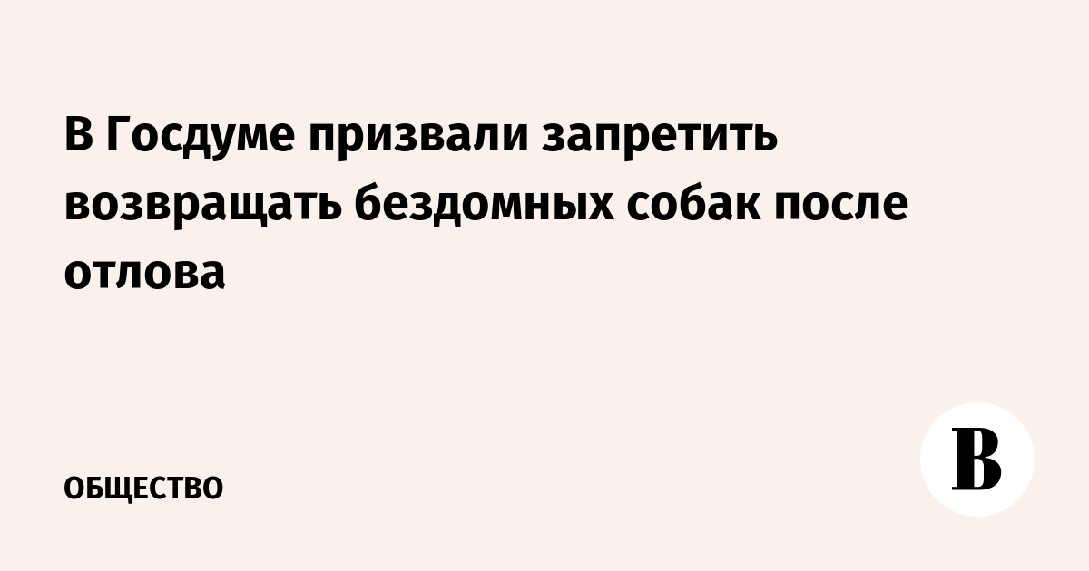 В Госдуме призвали запретить возвращать бездомных собак после отлова