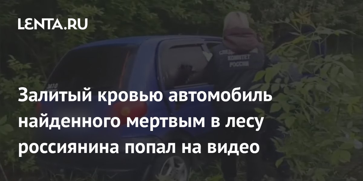 В Липецкой области 18-летний сын с другом подозреваются в убийстве отца В Липецкой области 18-летний сын с другом подозреваются в убийстве отца