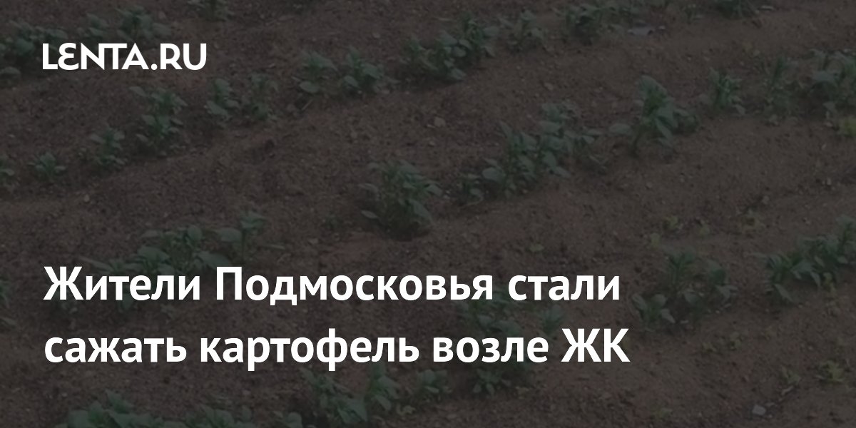 ������ �������� �������� ��������� ������ ������ � ��������