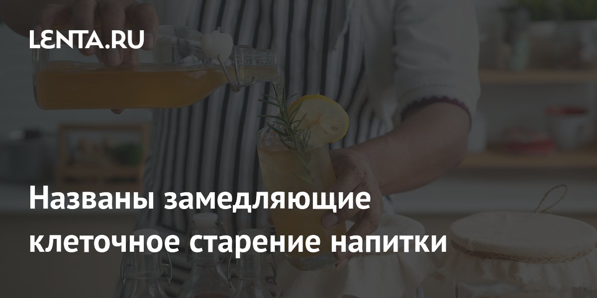 Комбуча на зеленом чае и улуне замедляет старение клеток — исследование