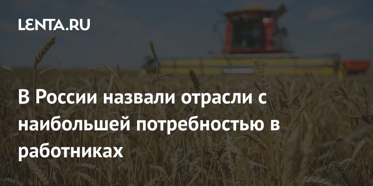 АКРА: дефицит кадров в России сильнее всего в сельском хозяйстве и логистике
