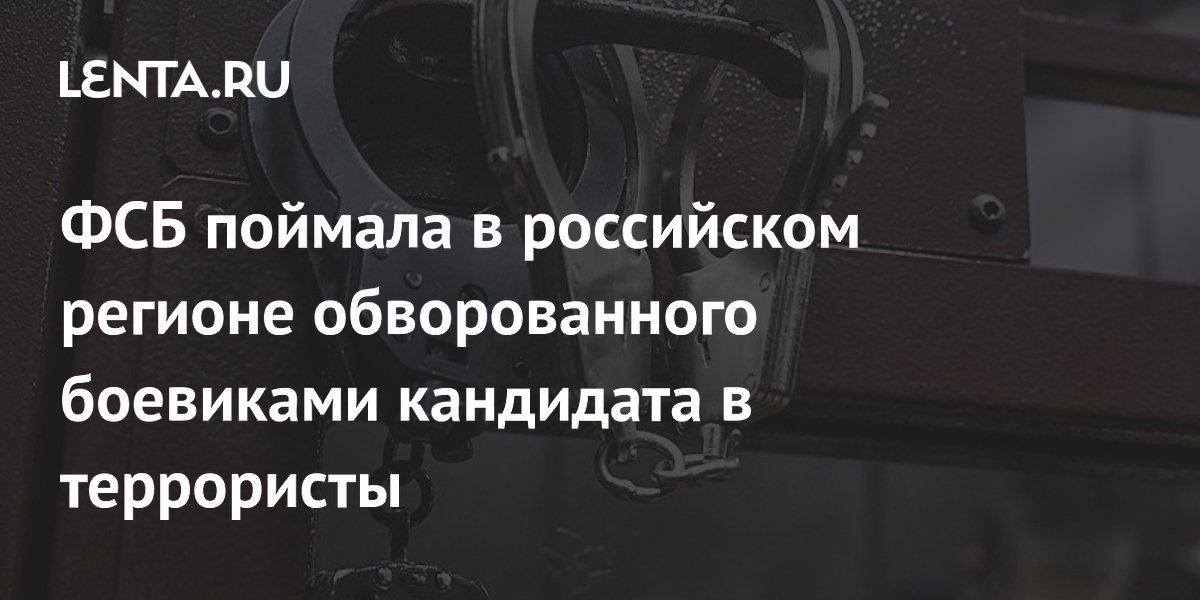 ФСБ задержала в Ленобласти кандидата в террористы, которого обокрали боевики ФСБ задержала в Ленобласти кандидата в террористы, которого обокрали боевики