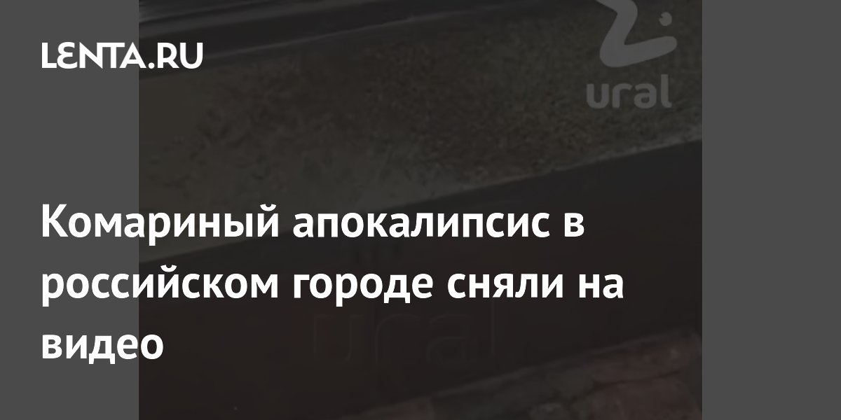 Жители Сургута сняли на видео нашествие тысяч комаров