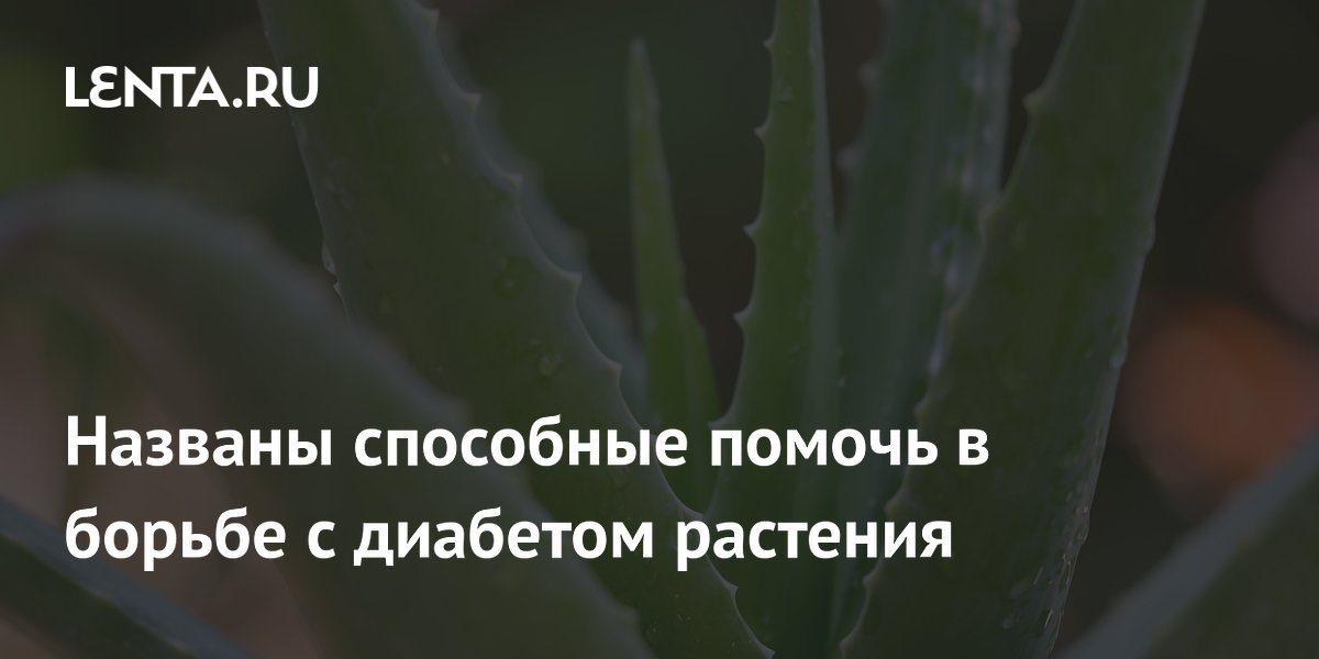 Ученые назвали 80 растений, способных помочь в борьбе с диабетом