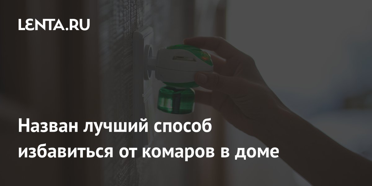 Энтомолог Хряпин назвал два лучших способа защиты дома от комаров
