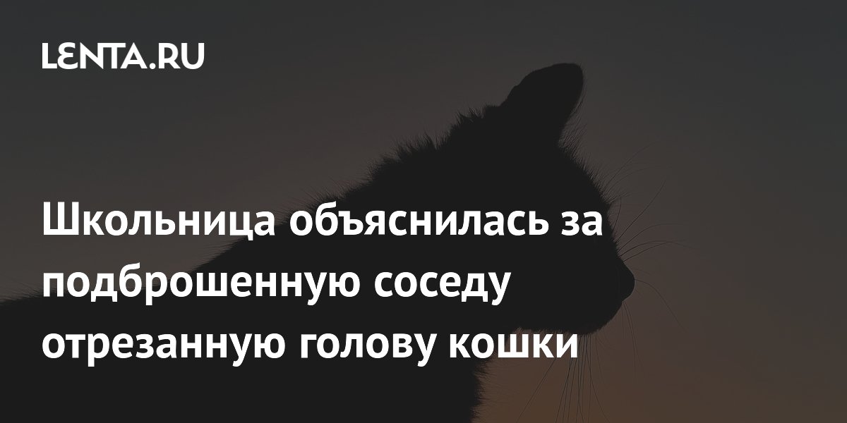 Школьница отрезала голову кошке и подбросила соседу из-за шума