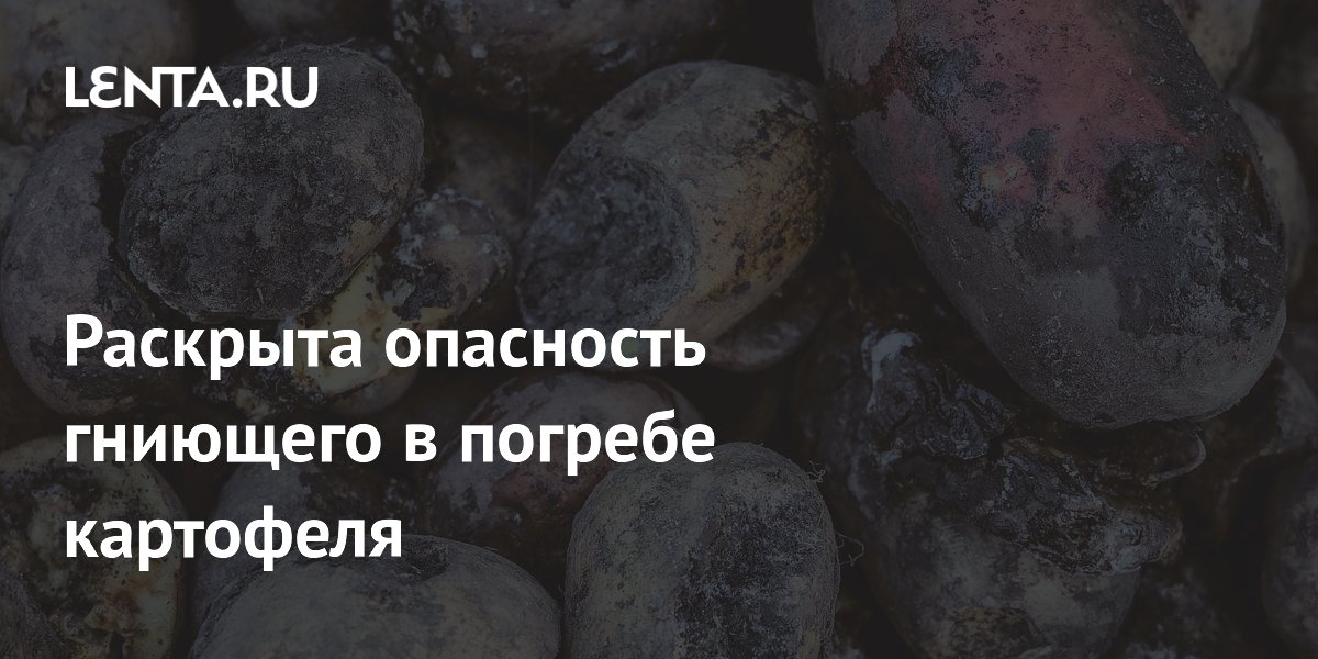 Гниющий картофель в погребе: врач Кашух предупредила о риске удушья